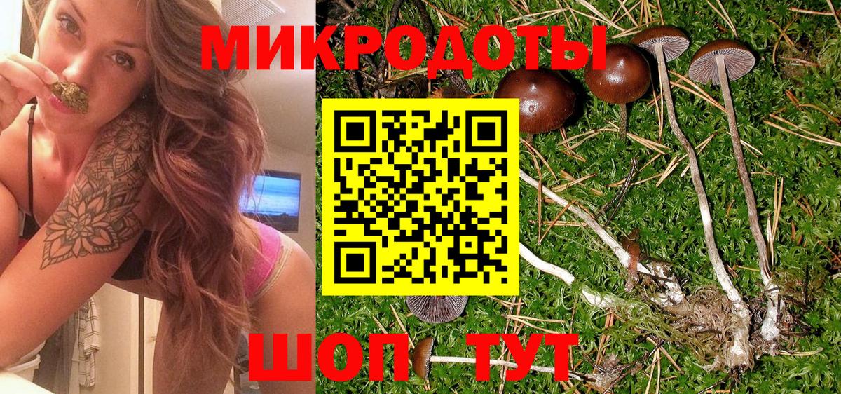 Ленинск-Кузнецкий  Галлюциногенные грибы MAGIC MUSHROOMS  Вход с VPN 