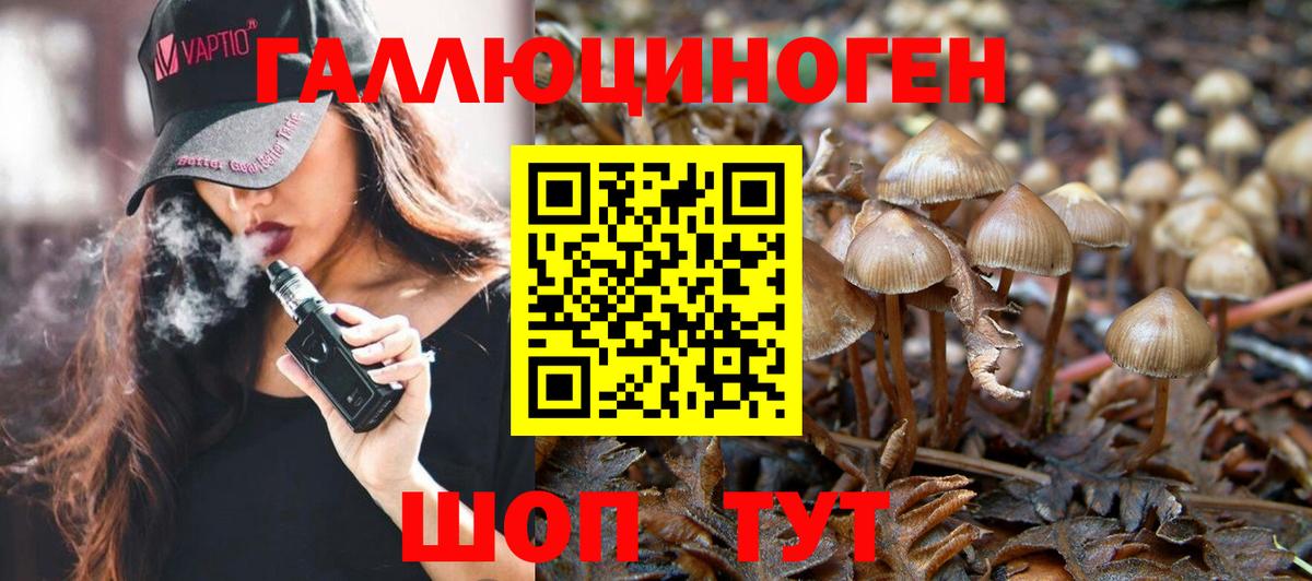 Галлюциногенные грибы мухоморы Ленинск-Кузнецкий